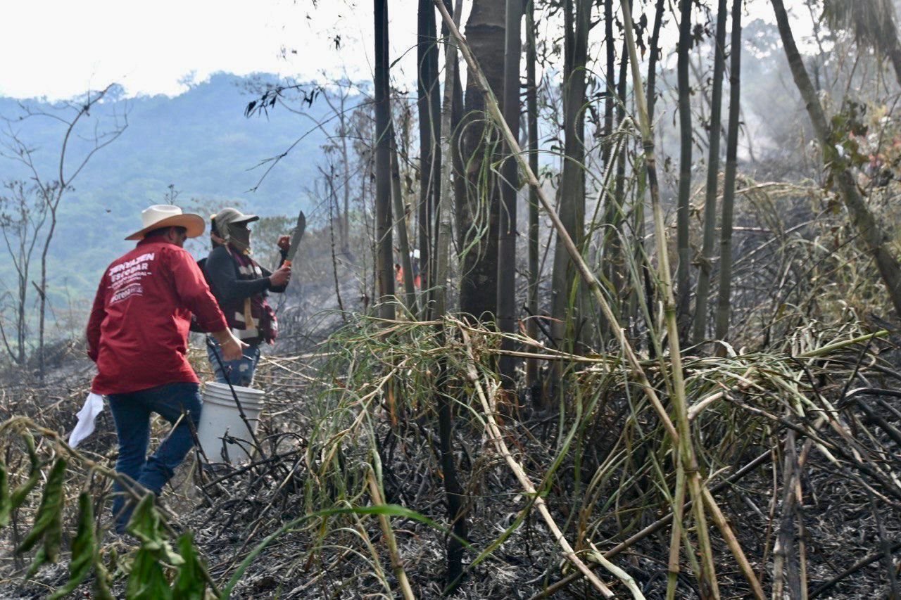 Zenyazen Escobar exhorta a investigación sobre incendio en Cuatlapan